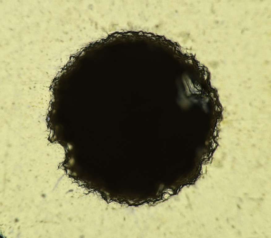 PCB closeups with the SEM